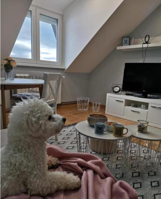 Apartman Jela Nova Varoš Exterior foto